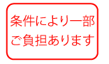 条件により一部 ご負担あります